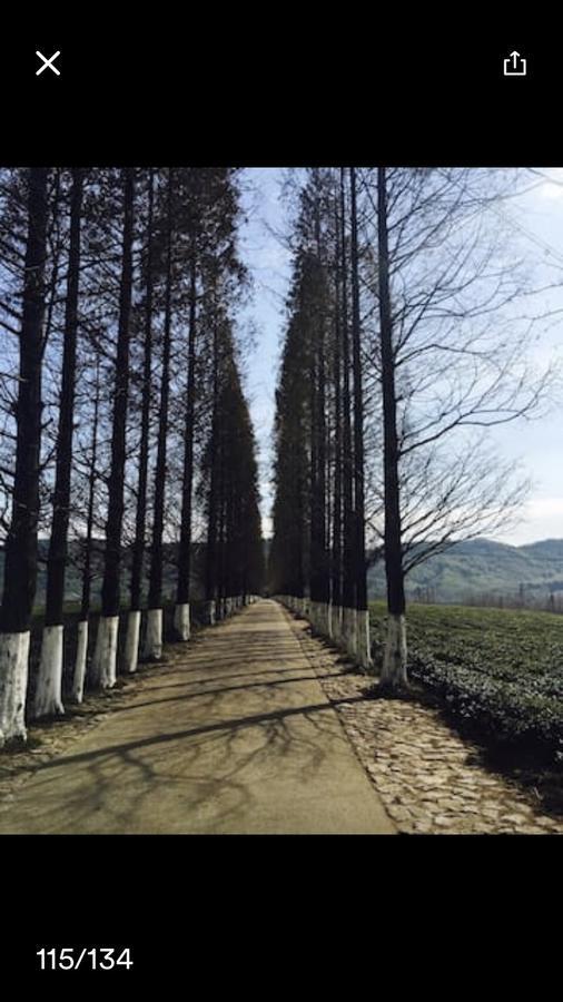 Villa Mogan Mountain Xiaomusensen Deqing Exterior foto