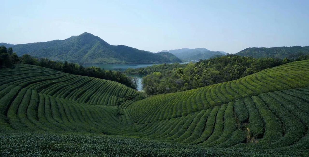 Villa Mogan Mountain Xiaomusensen Deqing Exterior foto